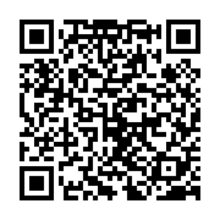 QR code for IDG009
