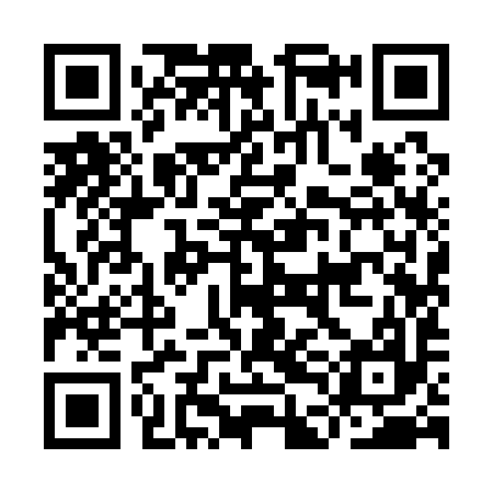 QR code for IDI197