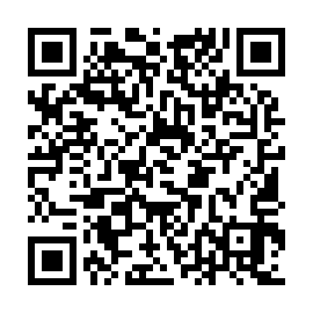 QR code for IDM913