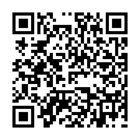 QR code for IDO313