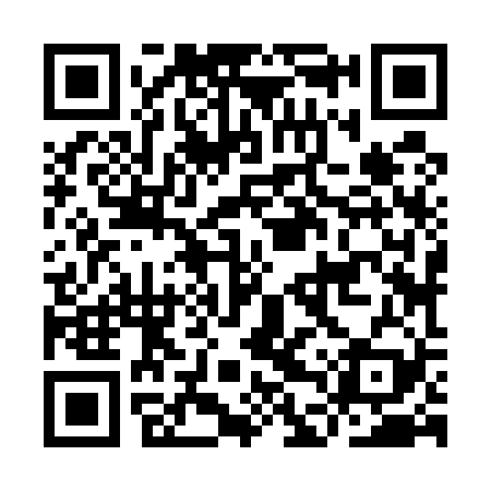 QR code for IDZ529