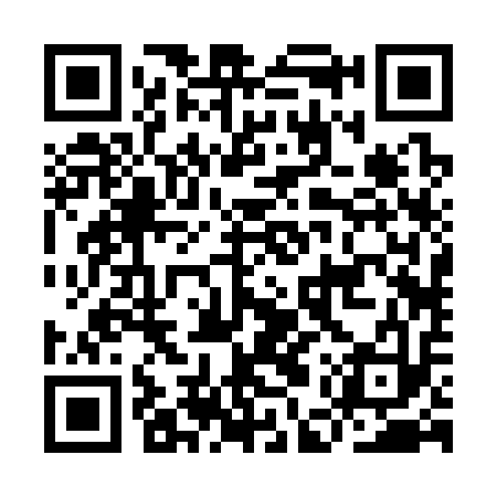 QR code for IER313