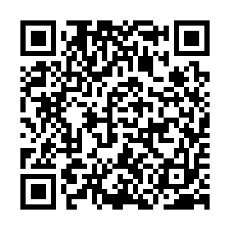 QR code for IGC313