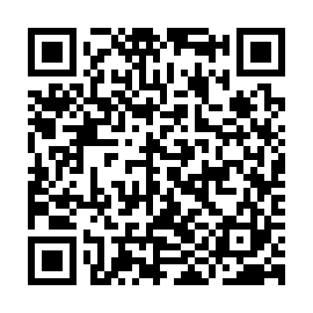 QR code for IIC323