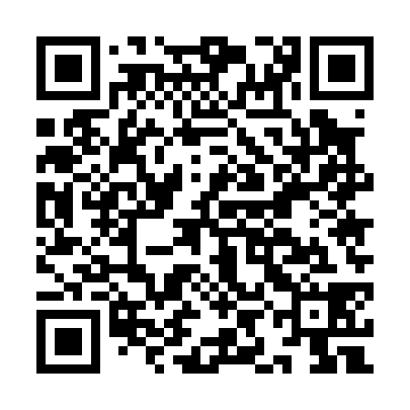 QR code for IIE038