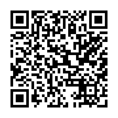 QR code for IIE289