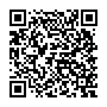 QR code for IIE655