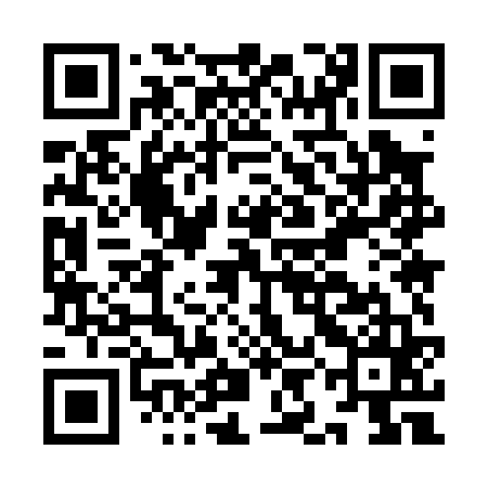 QR code for IIM065