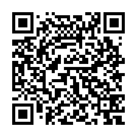 QR code for IIM379