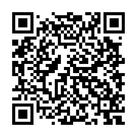 QR code for IIN017