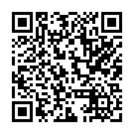 QR code for IIN024