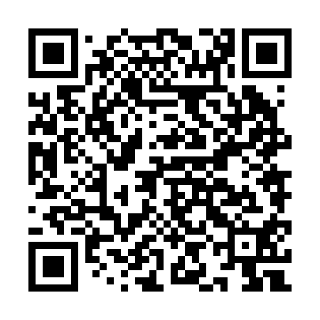 QR code for IIN210