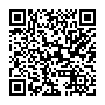 QR code for IIN951