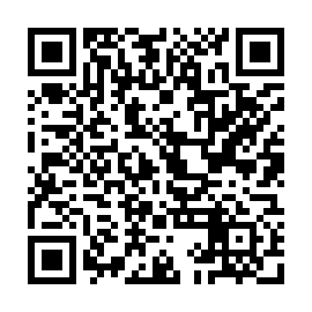 QR code for IIN971