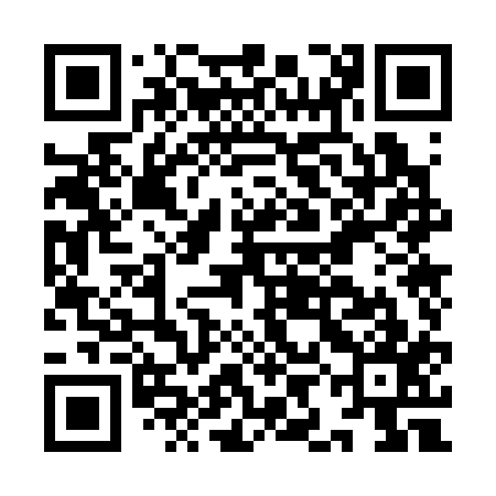 QR code for IIO317
