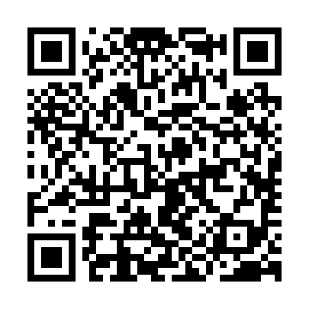 QR code for IIR299