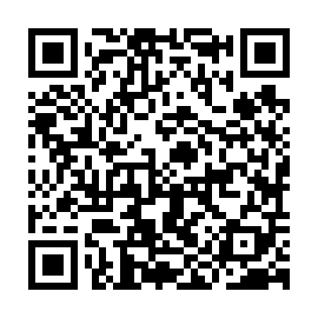 QR code for IIZ609