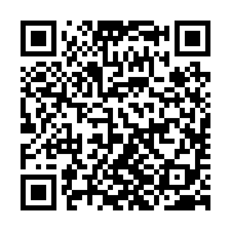 QR code for IJB299