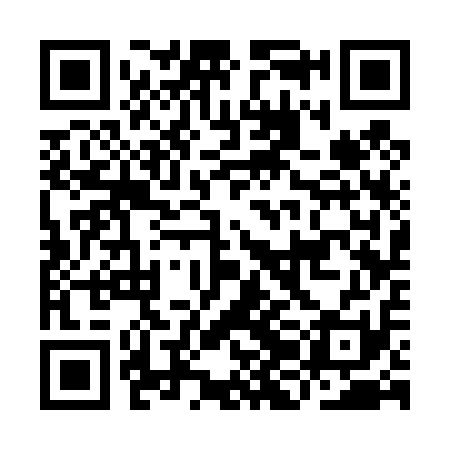 QR code for IJC411