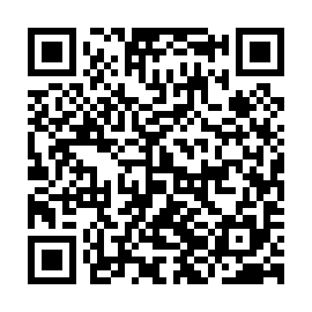 QR code for IJE095