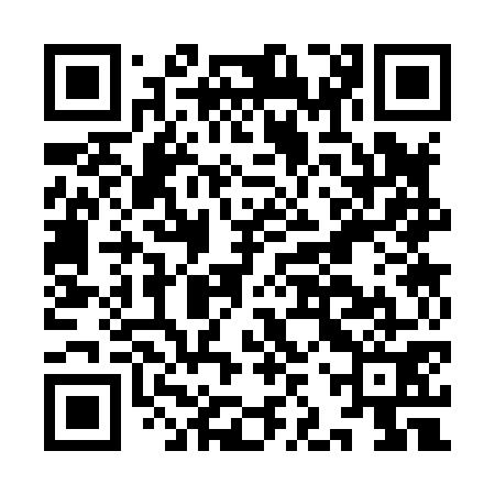 QR code for IJS871
