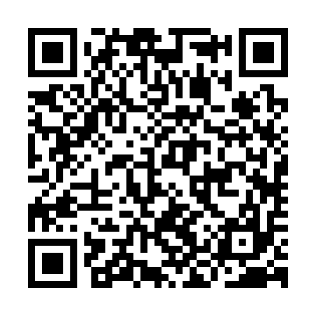 QR code for IKR317