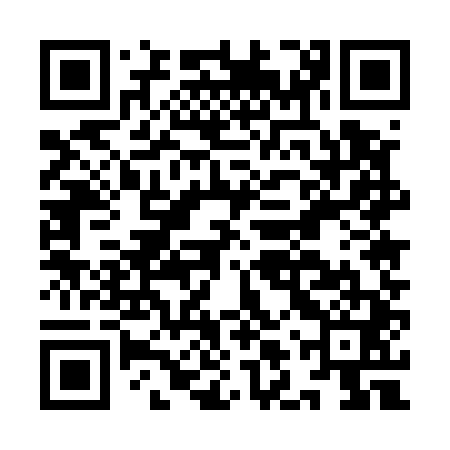 QR code for ILU541