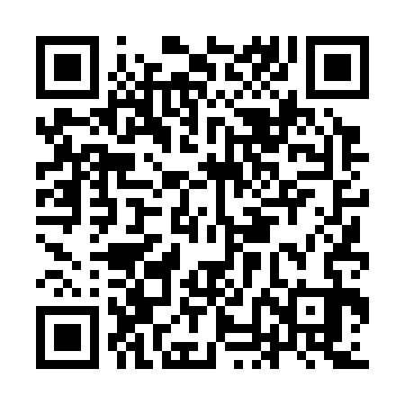 QR code for IND333