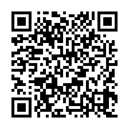 QR code for INL539