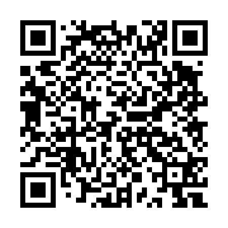QR code for IPP420