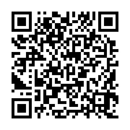 QR code for IRI382