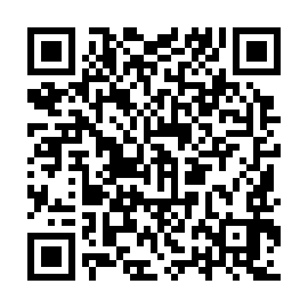 QR code for IRI393