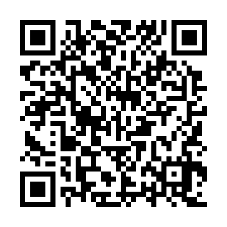 QR code for IRL337