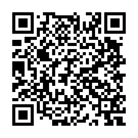 QR code for IRM451