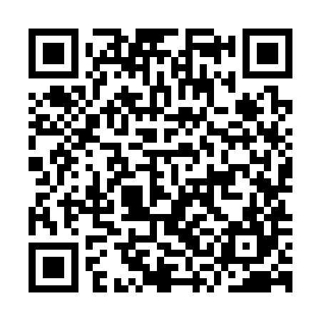 QR code for ISK384