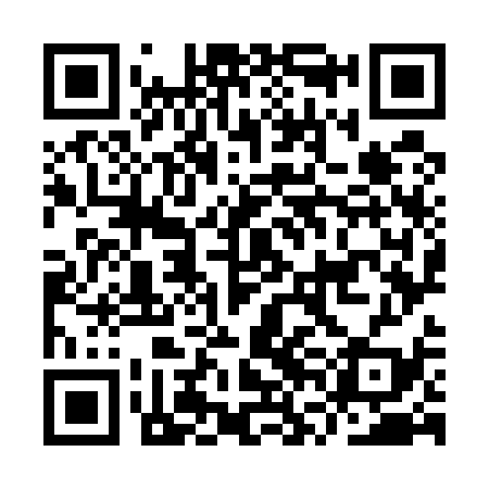 QR code for IVO539