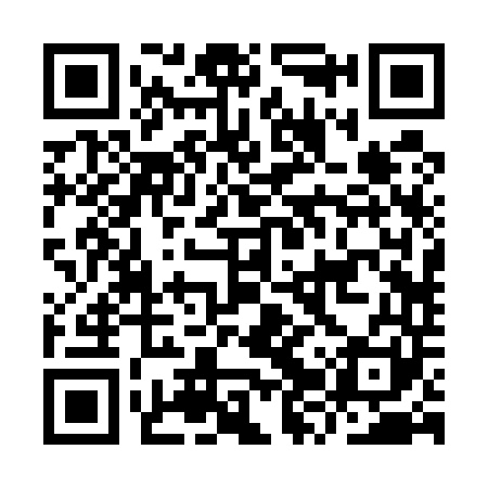 QR code for IZR541