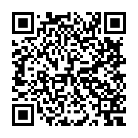 QR code for IZS853