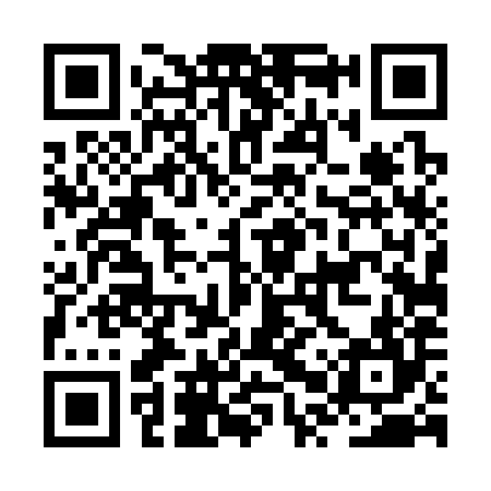 QR code for JPT384