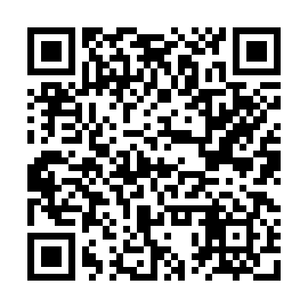 QR code for JPZ389