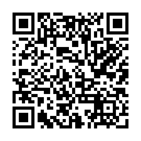QR code for KKN383
