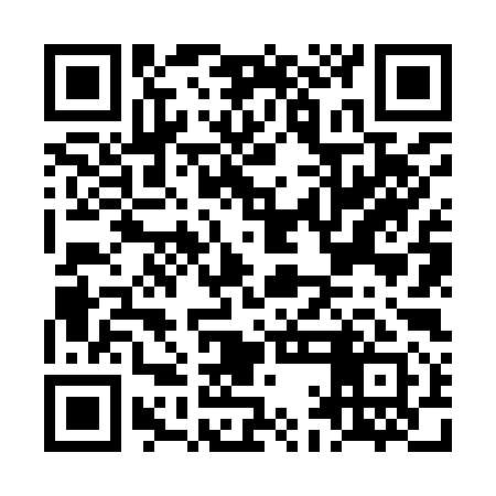 QR code for LAN991