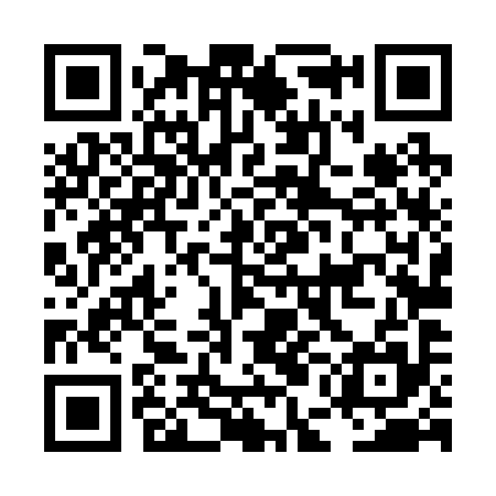 QR code for LEL295