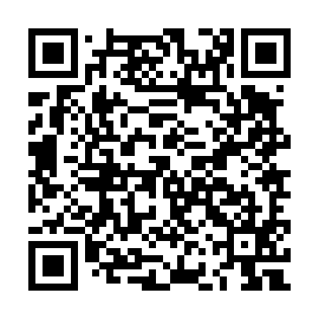QR code for LFZ495