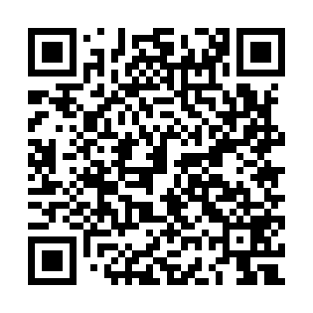 QR code for LGU959
