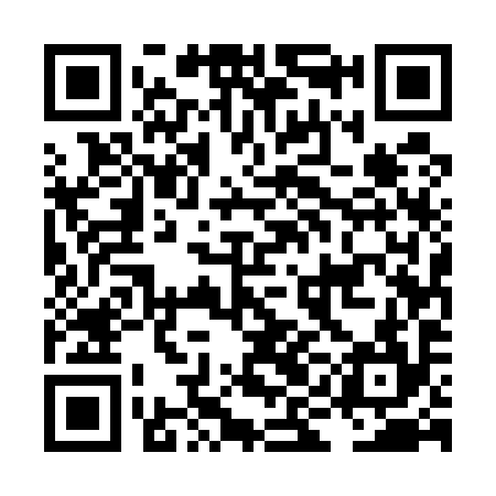 QR code for LIE594