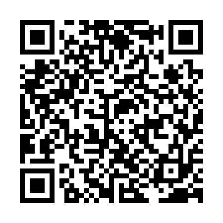 QR code for LIG313
