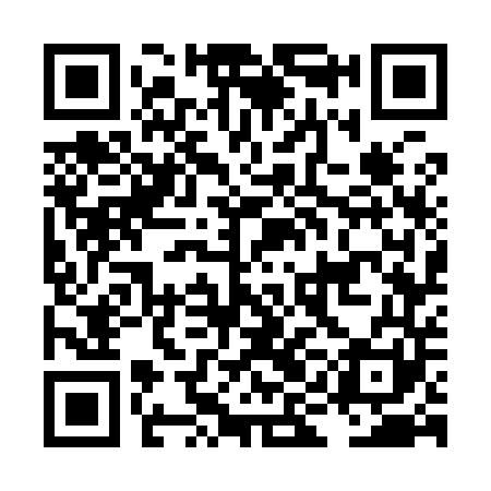 QR code for LIG941