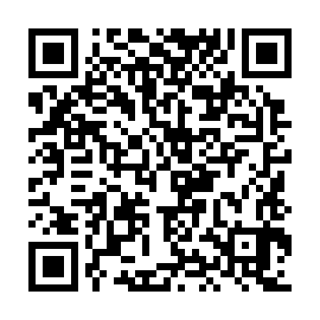 QR code for LIL383
