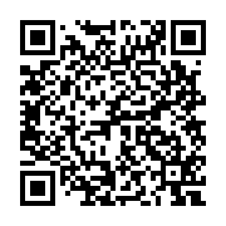 QR code for LIR115